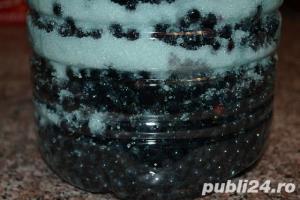 Afinata de casa din Bucovina