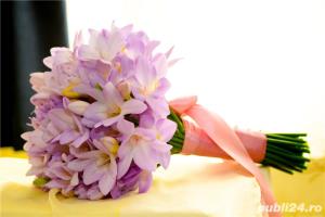 Foto As foto video Timisoara