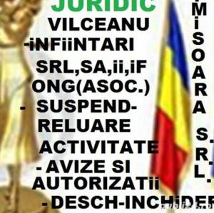 Infiintari firme,asociatii,PFA Timis