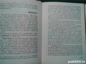 Ghid De Diagnostic în Bolile Infecţioase Ale Animalelor,M. Pop, C.Vasiu, Gh.Rapuntean,1981 - imagine 4