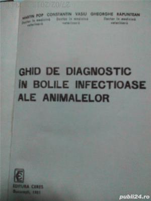 Ghid De Diagnostic în Bolile Infecţioase Ale Animalelor,M. Pop, C.Vasiu, Gh.Rapuntean,1981 - imagine 2