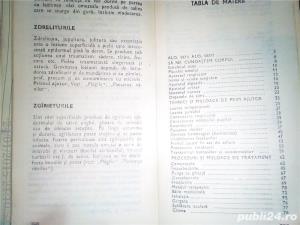 ABC-ul primului ajutor,Dr. Ioan Nastoiu , Editura Ceres, Bucuresti - imagine 4
