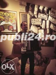 Acordeonist - imagine 4