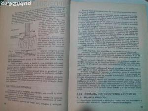 Bolile digestive la copil , Louis Turcanu, I.Simedrea ,D.Tanase,1988 - imagine 8