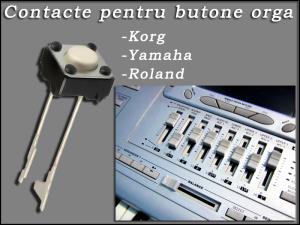 Contacte pentru butoane orga si alte aparate