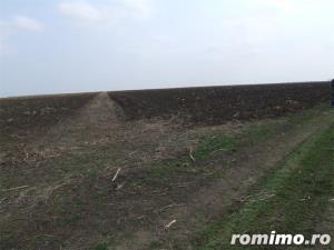 Vand teren, 10 min de Bucuresti, 5000 mp, dubla deschidere, posibil rate, padure si autostrada A3 - imagine 2