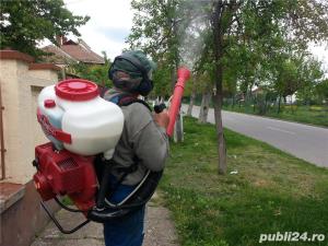 TAIERI Stropiri si tratamente la pomi - imagine 9