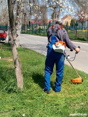 Tai iarba, pomi,  gard viu, ierbicidari, stropiri si tratamente  la pomi - imagine 2