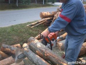 Tai lemne si pomi - imagine 6