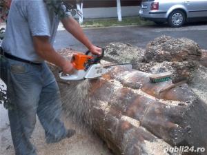 Tai lemne si pomi - imagine 2