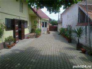 plante ornamentale ptr.amenajari exterioare (YUCCA, LEANDRII,) - imagine 3