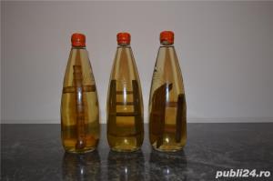 Confectionez sticle artizanale cu scarite in interior