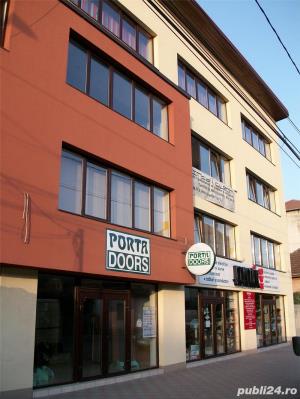 Gazduire sediu social Timisoara