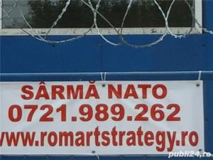 sarma ghimpata Nato - imagine 3