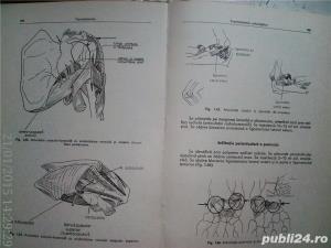 Elemente de patologie si terapeutica chirurgicala - imagine 9