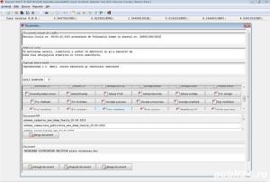 Aplicatie Executor - imagine 2