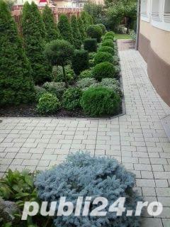 Amenajari spatii verzi - imagine 2