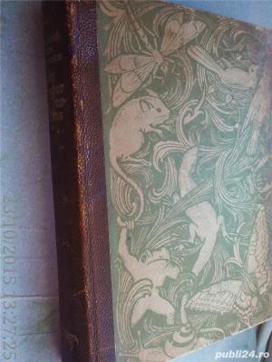 Im Zauber des Tierlebens , 1926