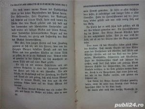 Der Hirt von Zenoberg,Roman, Greinz, Rudolf 1922 - imagine 5