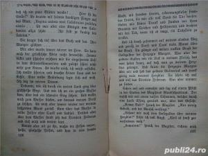 Der Hirt von Zenoberg,Roman, Greinz, Rudolf 1922 - imagine 6