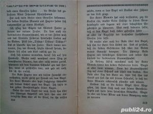 Der Hirt von Zenoberg,Roman, Greinz, Rudolf 1922 - imagine 8