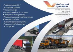 Transport rutier marfa Romania-Serbia
