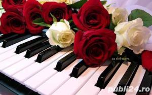 Cursuri (lectii) orga Braila 