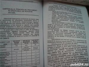 Strategii si mecanisme terapeutice în gastroenterologie , Eugen Georgescu , 2006 - imagine 7