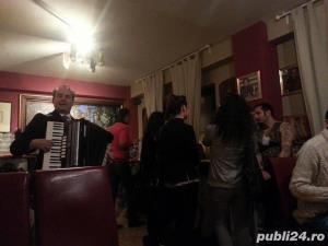 Acordeonist - imagine 2