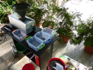 Presa ulei extractie rapita - imagine 2