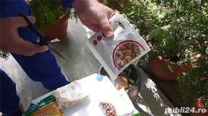 Presa de ulei de nuca electrica alimentare 220 V - imagine 4