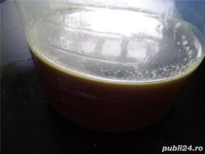 Extractor ulei din seminte de dovleac fara coaja Styria