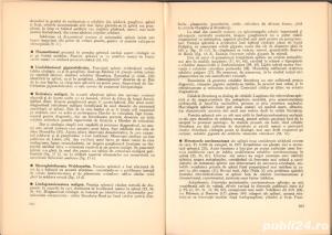Citodiagnosticul prin punctie in practica medicala , George Popa ,Editura Medicala , Bucuresti 1971 - imagine 13