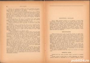 Colite si rectocolite Prof. Dr. Gheorghe Nicolescu, 1956 - imagine 6