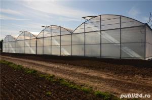 Sere hidroponice pentru legume - imagine 2