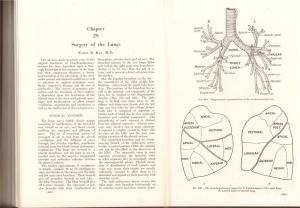 Babcock's Principles and practice of Surgery, Jonas , 1955 - imagine 8