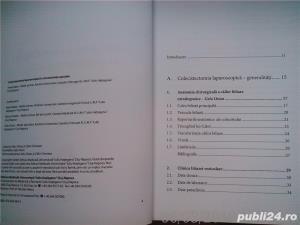 Colecistectomia laparoscopica in circumstante speciale, Horea Radu , 2005 - imagine 3