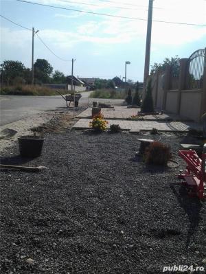 Montaj pavele si borduri.