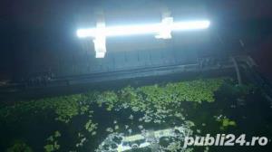 Proiectoare auto / iluminat acvariu led 12 w - imagine 2