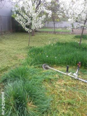 Tai iarba, pomi,  gard viu, ierbicidari, stropiri si tratamente  la pomi - imagine 7