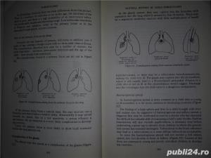 Paediatric Priorities in the Developing World David Morley, 1975 - imagine 11