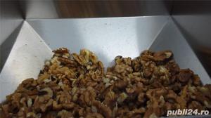 Presa ulei nuca putere 2Kw - 220V - imagine 3