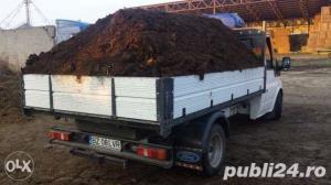 O723469483 Sort - Nisip - Balastru - Mranita ! - imagine 3