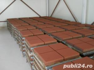 Boltari    Fundatie - imagine 7