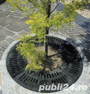 Sisteme de protectie pentru copaci