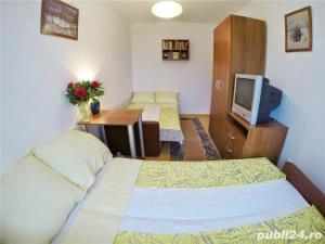 Cazare pentru pana la 8 persoane la Salina Turda. Apartament 2 camere - imagine 2