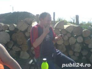 Vind lemne de FOC diferite esente ! Transport gratuit ! - imagine 5