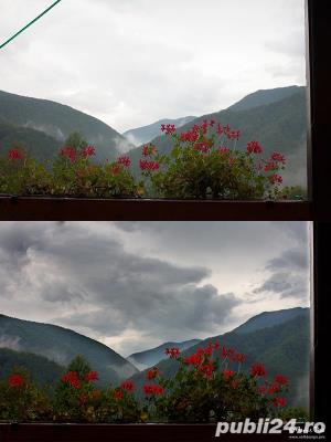 Curs Adobe Photoshop si Adobe Illustrator - imagine 16