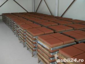 boltari  gard - imagine 3