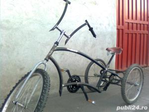 Tricicleta pt Adulti - Custom - imagine 4